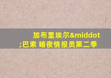 加布里埃尔·巴索 暗夜情报员第二季